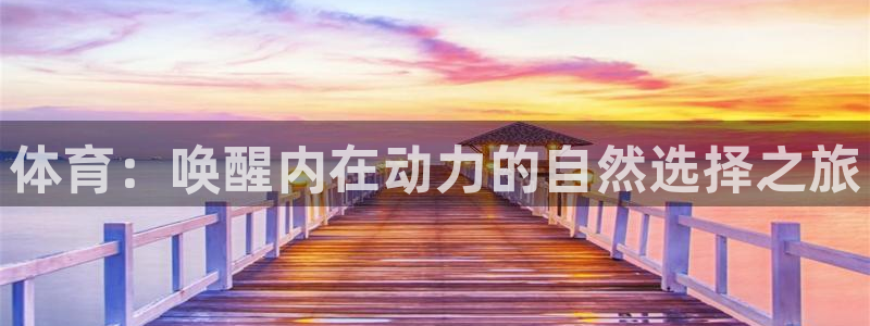 vsport体育在线官网