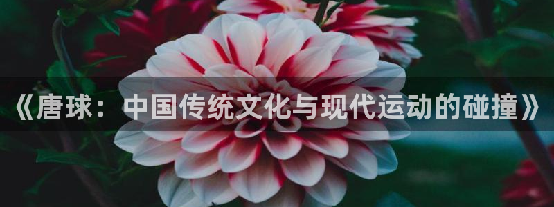 vsport体育在线官网