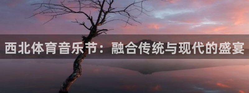 vsport体育在线官网