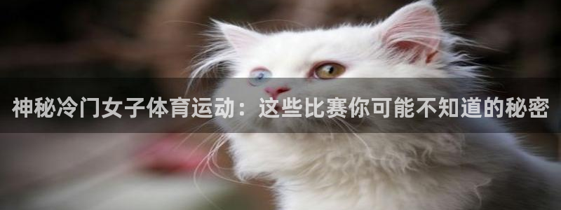vsport体育在线官网