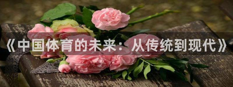 vsport体育在线官网