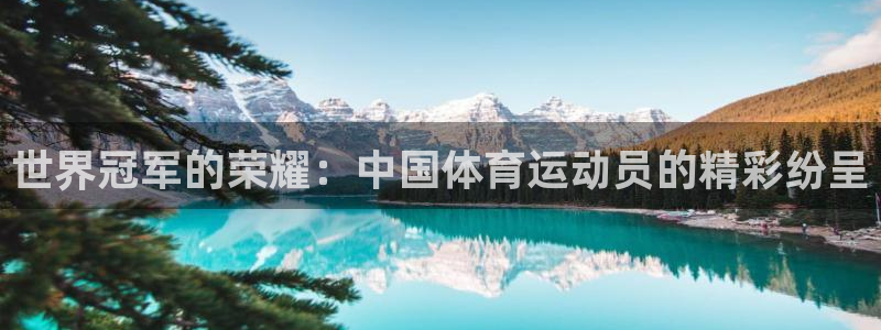 vsport体育在线官网