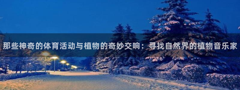 vsport体育在线官网