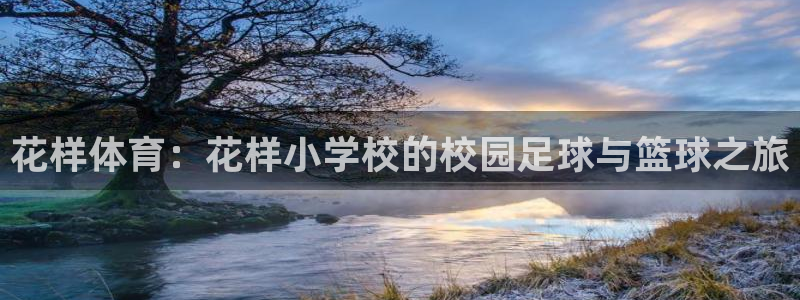 vsport体育在线官网