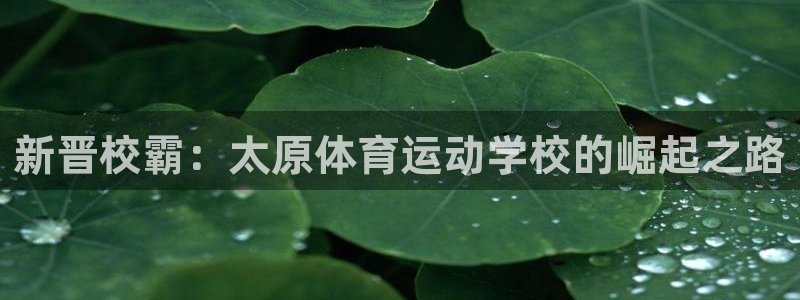 vsport体育在线官网