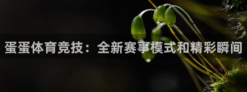 vsport体育在线官网