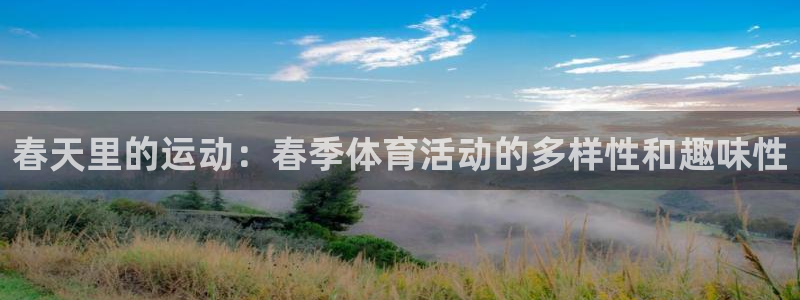 vsport体育在线官网
